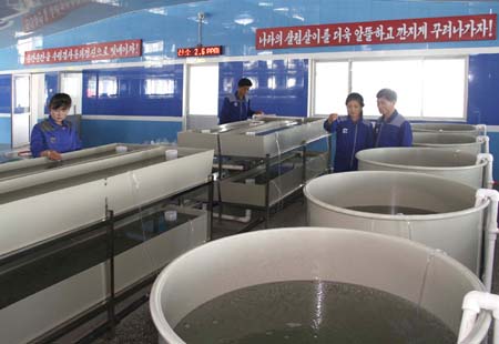 1-순천메기공장